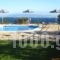 Gerasimoula Studios_best deals_Hotel_Ionian Islands_Kefalonia_Vlachata