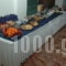 Elena_holidays_in_Hotel_Central Greece_Fthiotida_Lamia