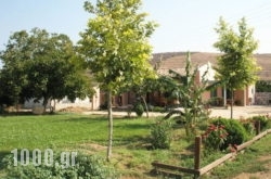 Areti in , , 