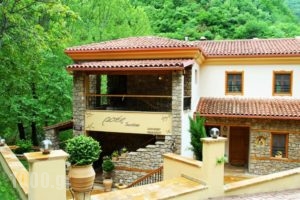 Roes Suites_best deals_Hotel_Macedonia_Pella_Aridea