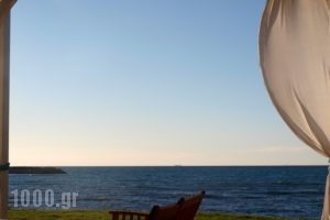 Kyparissia Blue Rooms & Suites_best deals_Room_Peloponesse_Messinia_Kyparisia