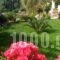 Roza Studios_best deals_Hotel_Ionian Islands_Corfu_Corfu Rest Areas