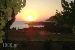 Sunset_accommodation_in_Apartment_Aegean Islands_Limnos_Agios Ioannis