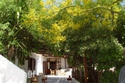 Agnadema in Athens, Attica, Central Greece