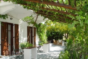 Agnadema_travel_packages_in_Sporades Islands_Skyros_Skyros Rest Areas