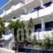 Mina Studios_travel_packages_in_Dodekanessos Islands_Kos_Kardamena