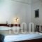 Tzanetos Studios_best prices_in_Room_Ionian Islands_Zakinthos_Laganas