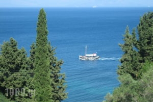 Andromaches Holiday Apartments_travel_packages_in_Ionian Islands_Corfu_Gastouri