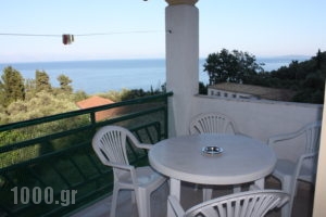 Andromaches Holiday Apartments_best prices_in_Apartment_Ionian Islands_Corfu_Gastouri