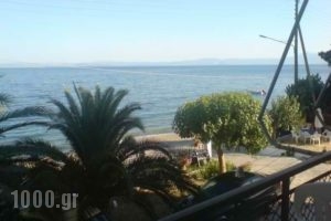 Aggelopouloi Studios_best prices_in_Apartment_Central Greece_Evia_Edipsos