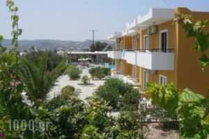 Manolis Studios_best deals_Hotel_Dodekanessos Islands_Kos_Kos Rest Areas