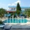 Vergas Hotel Malia_holidays_in_Hotel_Crete_Heraklion_Malia