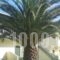 Dream House_accommodation_in_Hotel_Thessaly_Magnesia_Pinakates