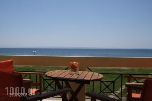 Monopetro_holidays_in_Apartment_Macedonia_Halkidiki_Poligyros