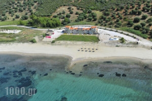 Monopetro_accommodation_in_Apartment_Macedonia_Halkidiki_Poligyros