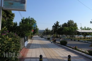 Iliovasilema - Sunset Apartments_accommodation_in_Apartment_Central Greece_Evia_Pefki