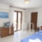 Agia Anna Studios_holidays_in_Hotel_Cyclades Islands_Naxos_Naxos Chora