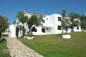 Katerina_accommodation_in_Apartment_Sporades Islands_Skiathos_Troulos