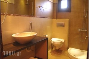 Apsis Hotel_best deals_Hotel_Macedonia_Kozani_Emporio