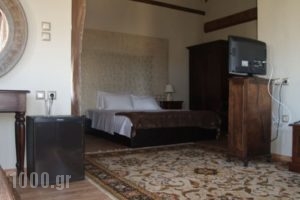 Apsis Hotel_accommodation_in_Hotel_Macedonia_Kozani_Emporio