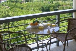 Byzantion Hotel_holidays_in_Hotel_Peloponesse_Lakonia_Mystras