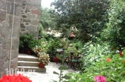 Marianthi Toroz Rooms & Studios in Mythimna (Molyvos) , Lesvos, Aegean Islands