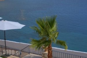 Palazzo Greco_best deals_Hotel_Crete_Rethymnon_Plakias