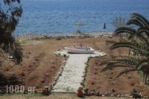 Ios Paleochora_holidays_in_Apartment_Crete_Chania_Sougia