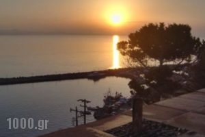 Villa Annie_lowest prices_in_Villa_Aegean Islands_Lesvos_Mythimna (Molyvos