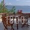 Villa Annie_accommodation_in_Villa_Aegean Islands_Lesvos_Mythimna (Molyvos