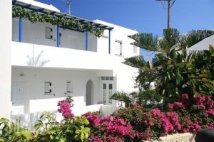 Loukia Apartments & Studios_lowest prices_in_Apartment_Cyclades Islands_Paros_Paros Chora