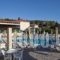 Family Inn_holidays_in_Hotel_Ionian Islands_Zakinthos_Zakinthos Chora