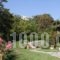 Astra hotel_best deals_Hotel_Peloponesse_Arcadia_Levidi