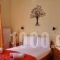 VasilikiBlue_accommodation_in_Apartment_Ionian Islands_Lefkada_Vasiliki