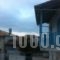 Poppy's Studios_best deals_Apartment_Ionian Islands_Lefkada_Agios Ninitas