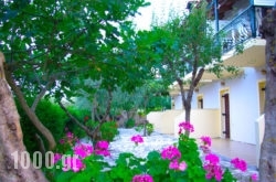 Gerakari Thalassa Studios in Alykes, Zakinthos, Ionian Islands