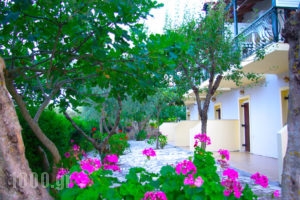 Gerakari Thalassa Studios_accommodation_in_Apartment_Ionian Islands_Zakinthos_Alykes