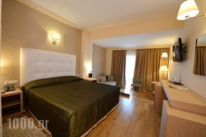 Arty Grand_best deals_Hotel_Peloponesse_Ilia_Olympia