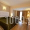 Arty Grand_best deals_Hotel_Peloponesse_Ilia_Olympia