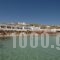 Acrogiali Hotel_travel_packages_in_Cyclades Islands_Mykonos_Platys Gialos