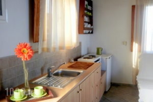 Vigla_accommodation_in_Room_Ionian Islands_Zakinthos_Zakinthos Rest Areas