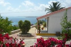 Ventura Rooms in Naousa, Paros, Cyclades Islands