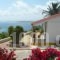 Ventura Rooms_accommodation_in_Room_Ionian Islands_Kefalonia_Kefalonia'st Areas