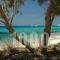 Akti Kastraki Areti_lowest prices_in_Apartment_Cyclades Islands_Naxos_Naxos Chora