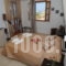 Akti Kastraki Areti_accommodation_in_Apartment_Cyclades Islands_Naxos_Naxos Chora