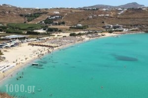 Penelope Village_best prices_in_Hotel_Cyclades Islands_Mykonos_Elia