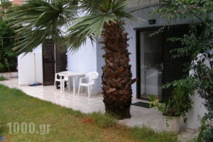 Villa Tasos_lowest prices_in_Villa_Ionian Islands_Corfu_Acharavi