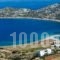 Agios Pavlos Studios_holidays_in_Hotel_Cyclades Islands_Amorgos_Amorgos Chora