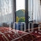 Archontiko Michopoulou_holidays_in_Hotel_Thessaly_Magnesia_Vizitsa