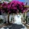 Glaronisia_best deals_Hotel_Cyclades Islands_Milos_Apollonia